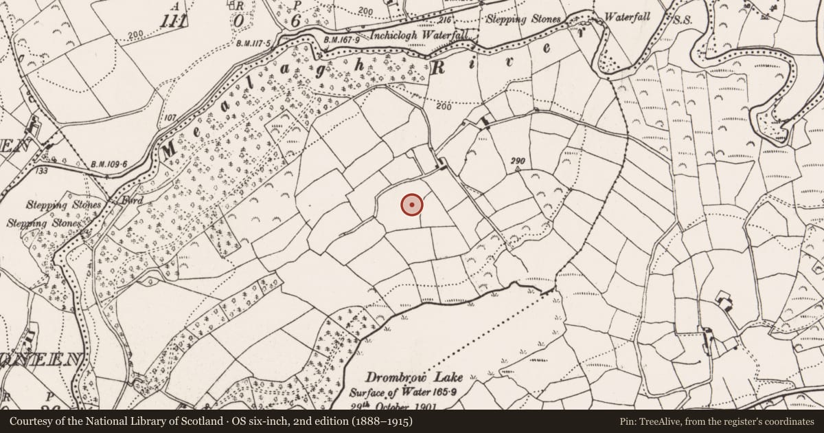 Ordnance Survey six-inch map, 2nd edition (1888–1915) covering the location of Standing stone, Drombrow, County Cork, with a pin at the register's coordinates