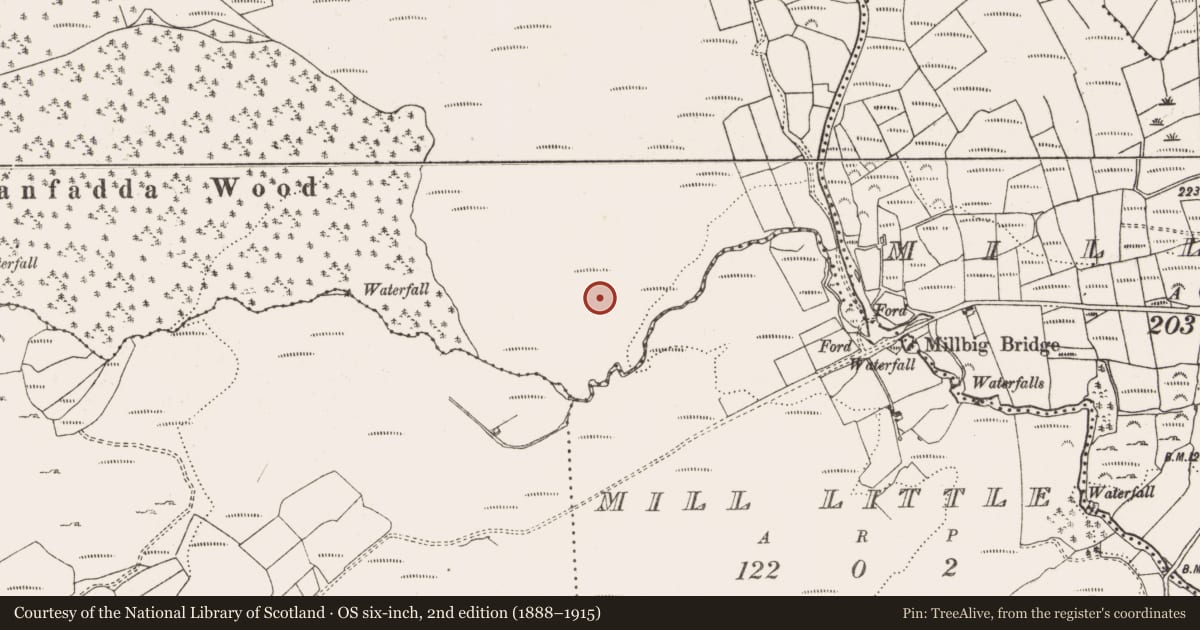 Ordnance Survey six-inch map, 2nd edition (1888–1915) covering the location of Standing stone, Farranfadda, County Cork, with a pin at the register's coordinates