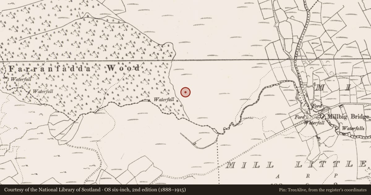 Ordnance Survey six-inch map, 2nd edition (1888–1915) covering the location of Standing stone, Farranfadda, County Cork, with a pin at the register's coordinates