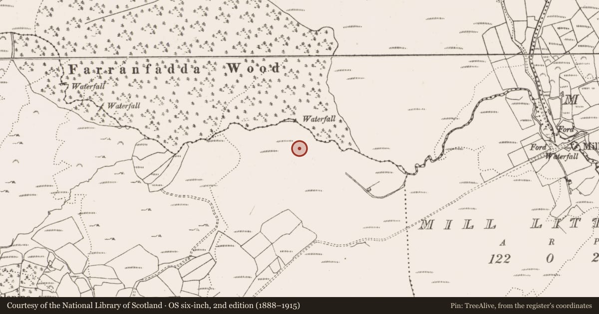 Ordnance Survey six-inch map, 2nd edition (1888–1915) covering the location of Standing stone, Kealanine, County Cork, with a pin at the register's coordinates