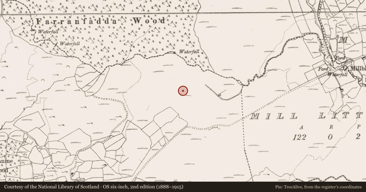 Ordnance Survey six-inch map, 2nd edition (1888–1915) covering the location of Standing stone, Kealanine, County Cork, with a pin at the register's coordinates