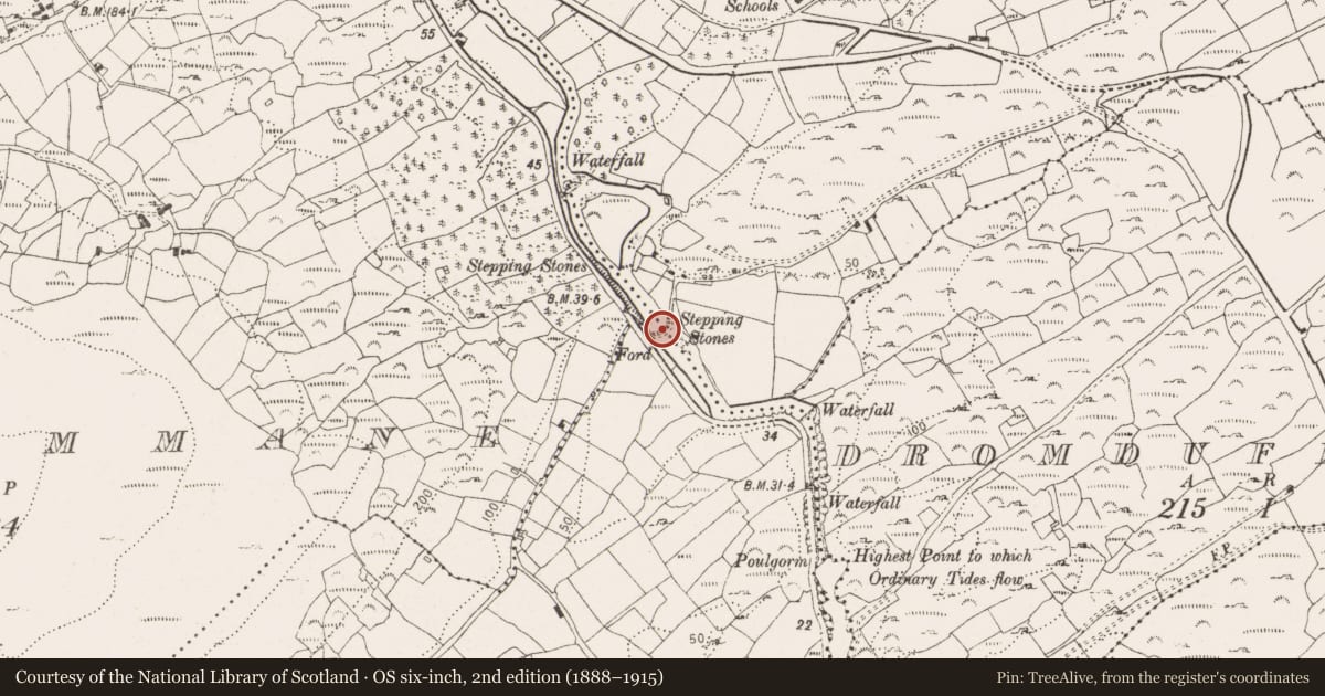 Ordnance Survey six-inch map, 2nd edition (1888–1915) covering the location of Stepping stones, Coorycommane, Cooryleary, County Cork, with a pin at the register's coordinates