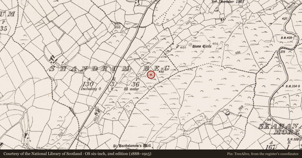 Ordnance Survey six-inch map, 2nd edition (1888–1915) covering the location of Standing stone, Shandrum Beg, County Cork, with a pin at the register's coordinates