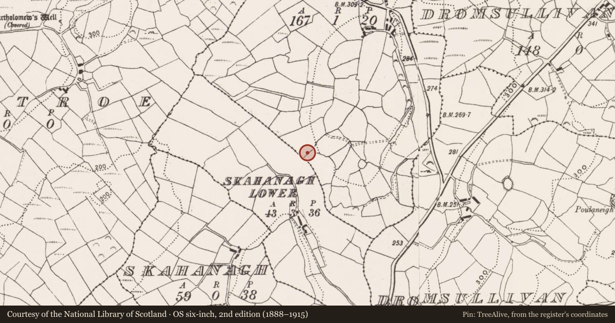 Ordnance Survey six-inch map, 2nd edition (1888–1915) covering the location of Souterrain, Skahanagh More, County Cork, with a pin at the register's coordinates