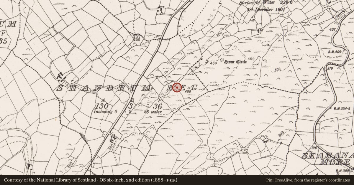 Ordnance Survey six-inch map, 2nd edition (1888–1915) covering the location of Hut site, Shandrum Beg, County Cork, with a pin at the register's coordinates