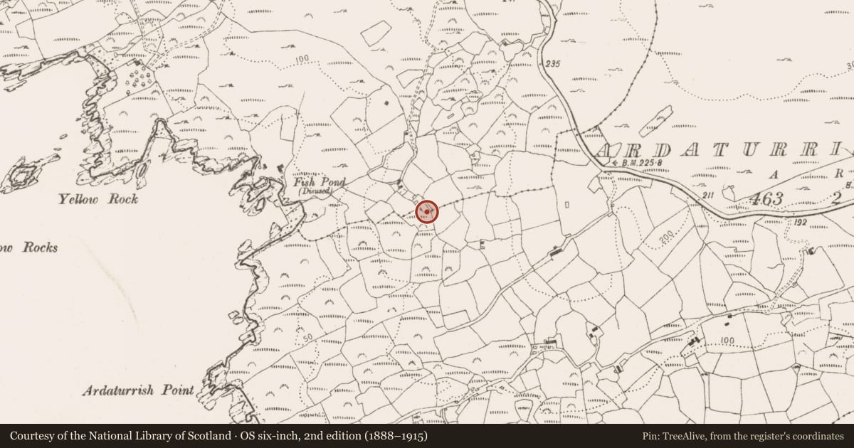 Ordnance Survey six-inch map, 2nd edition (1888–1915) covering the location of Megalithic structure, Ardaturrish More, County Cork, with a pin at the register's coordinates