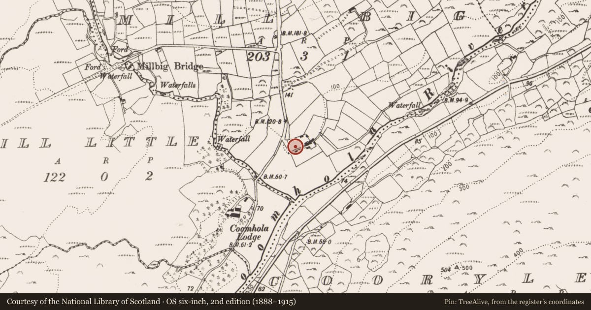 Ordnance Survey six-inch map, 2nd edition (1888–1915) covering the location of Metalworking site, Mill Big, County Cork, with a pin at the register's coordinates