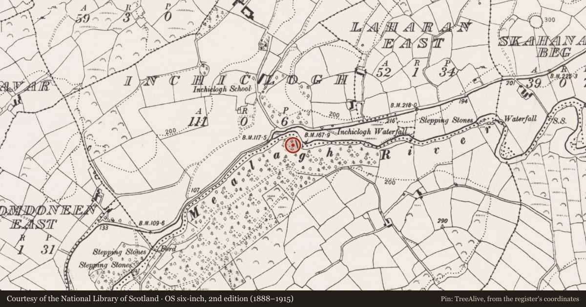 Ordnance Survey six-inch map, 2nd edition (1888–1915) covering the location of Promontory fort - inland, Drombrow, County Cork, with a pin at the register's coordinates