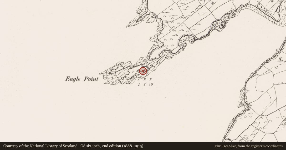 Ordnance Survey six-inch map, 2nd edition (1888–1915) covering the location of Promontory fort - coastal, Reenadisert, County Cork, with a pin at the register's coordinates