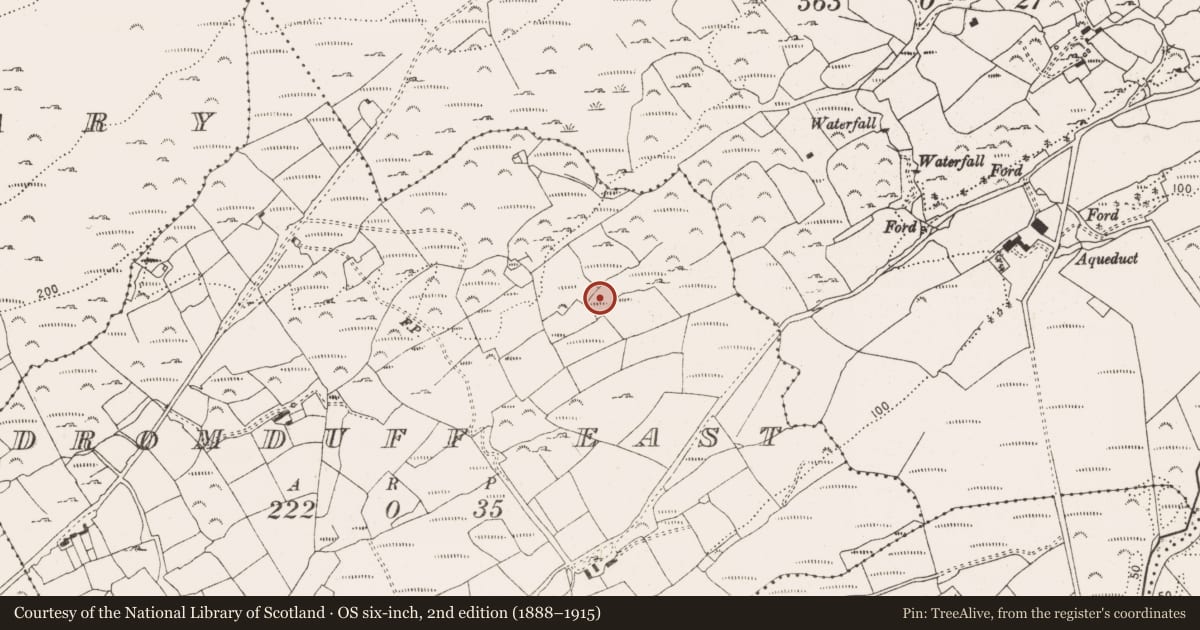 Ordnance Survey six-inch map, 2nd edition (1888–1915) covering the location of Burial ground, Dromduff East, County Cork, with a pin at the register's coordinates
