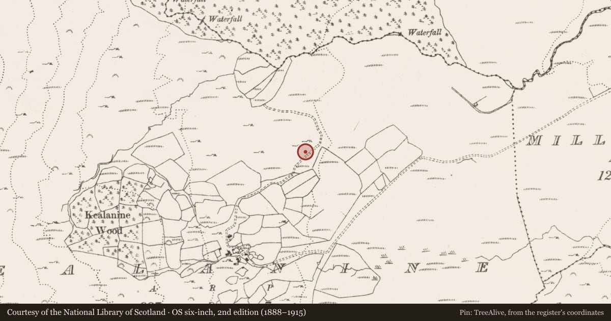 Ordnance Survey six-inch map, 2nd edition (1888–1915) covering the location of Rock art, Kealanine, County Cork, with a pin at the register's coordinates
