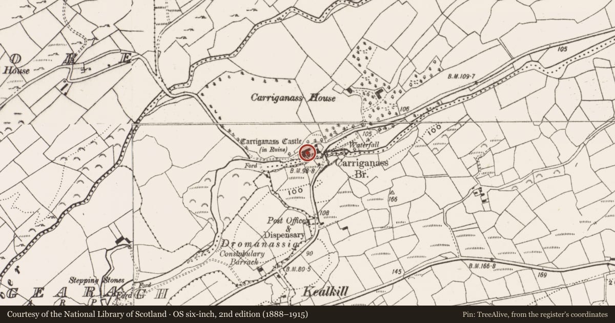 Ordnance Survey six-inch map, 2nd edition (1888–1915) covering the location of Castle - tower house, Carriganass, County Cork, with a pin at the register's coordinates