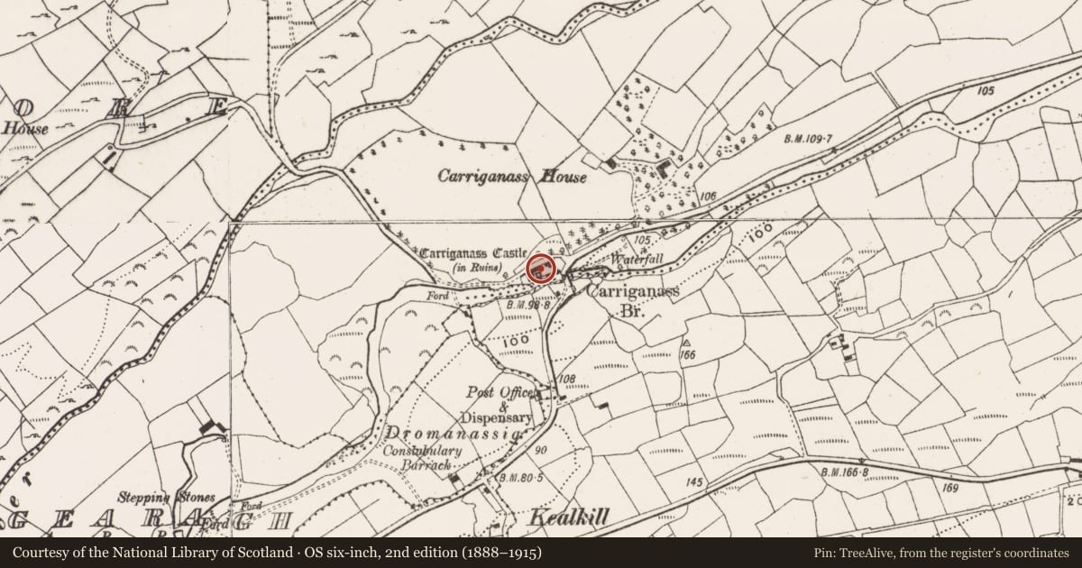 Ordnance Survey six-inch map, 2nd edition (1888–1915) covering the location of Bawn, Carriganass, County Cork, with a pin at the register's coordinates