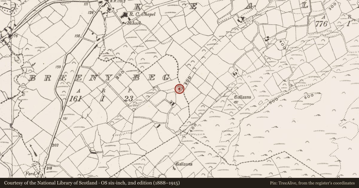 Ordnance Survey six-inch map, 2nd edition (1888–1915) covering the location of Enclosure, Breeny Beg, County Cork, with a pin at the register's coordinates