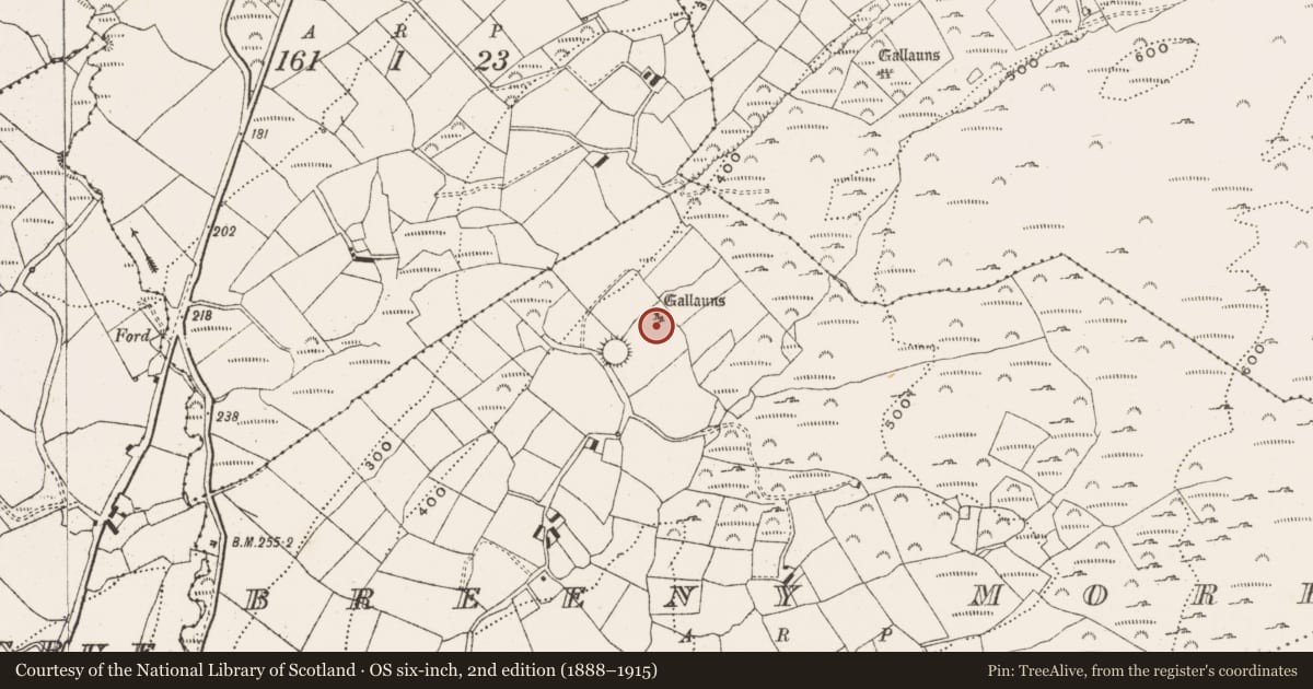 Ordnance Survey six-inch map, 2nd edition (1888–1915) covering the location of Boulder-burial, Breeny More, County Cork, with a pin at the register's coordinates