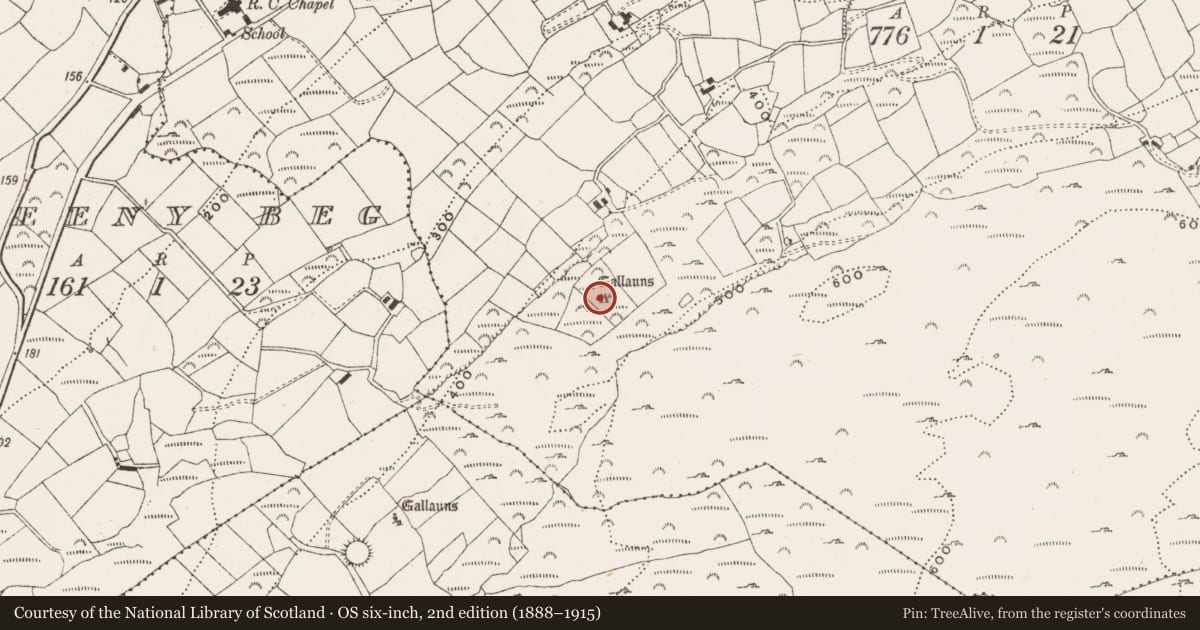 Ordnance Survey six-inch map, 2nd edition (1888–1915) covering the location of Cairn - radial-stone cairn, Kealkill, County Cork, with a pin at the register's coordinates