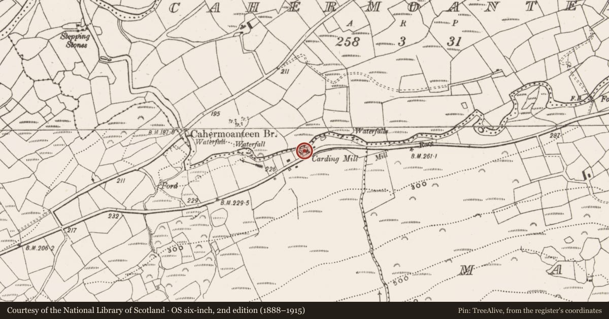 Ordnance Survey six-inch map, 2nd edition (1888–1915) covering the location of Mill - carding, Kealkill, County Cork, with a pin at the register's coordinates