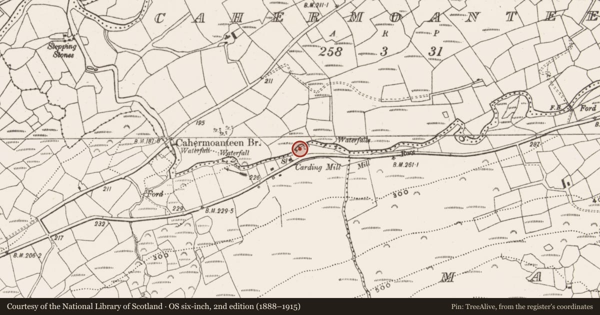 Ordnance Survey six-inch map, 2nd edition (1888–1915) covering the location of Mill - fulling, Kealkill, County Cork, with a pin at the register's coordinates