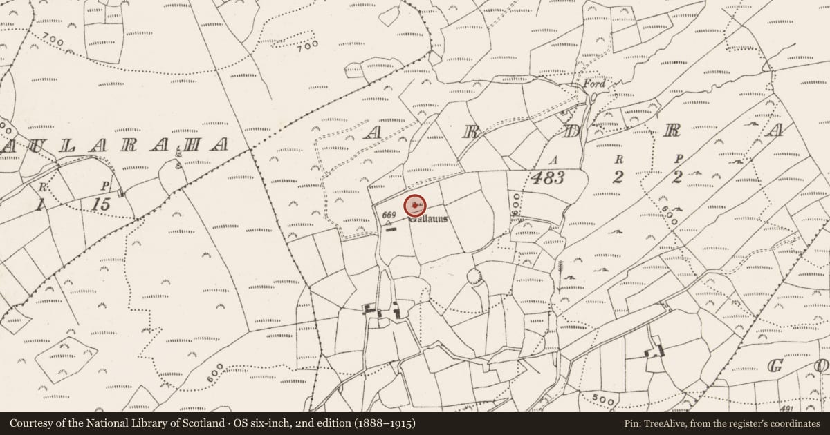 Ordnance Survey six-inch map, 2nd edition (1888–1915) covering the location of Stone row, Ardrah, County Cork, with a pin at the register's coordinates