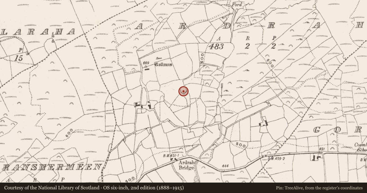 Ordnance Survey six-inch map, 2nd edition (1888–1915) covering the location of Ringfort - rath, Ardrah, County Cork, with a pin at the register's coordinates