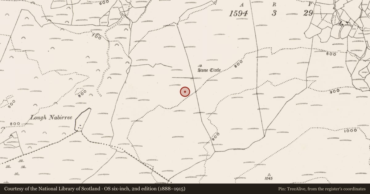 Ordnance Survey six-inch map, 2nd edition (1888–1915) covering the location of Four poster, Maughanaclea, County Cork, with a pin at the register's coordinates