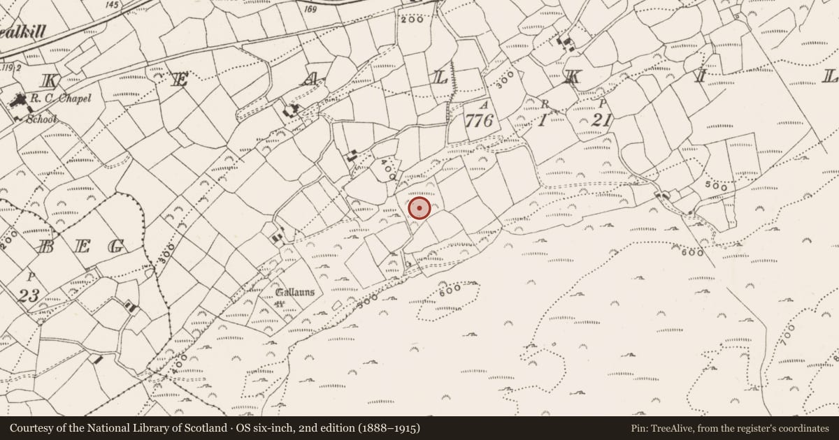 Ordnance Survey six-inch map, 2nd edition (1888–1915) covering the location of Field boundary, Kealkill, County Cork, with a pin at the register's coordinates