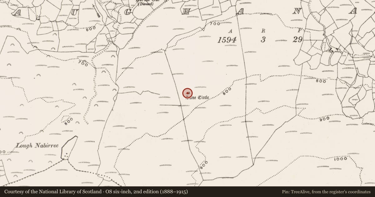 Ordnance Survey six-inch map, 2nd edition (1888–1915) covering the location of Radial-stone enclosure, Maughanaclea, County Cork, with a pin at the register's coordinates