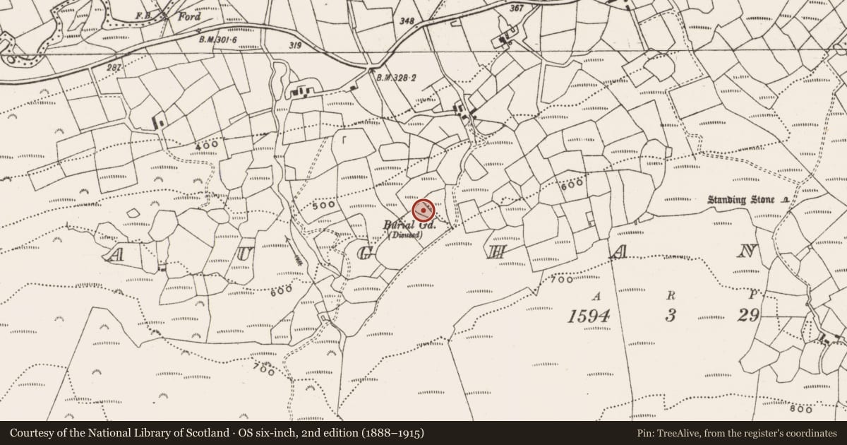 Ordnance Survey six-inch map, 2nd edition (1888–1915) covering the location of Burial ground, Maughanaclea, County Cork, with a pin at the register's coordinates