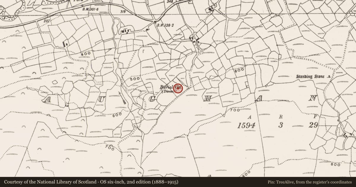 Ordnance Survey six-inch map, 2nd edition (1888–1915) covering the location of Cairn - unclassified, Maughanaclea, County Cork, with a pin at the register's coordinates