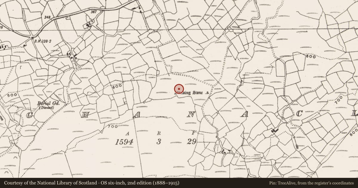 Ordnance Survey six-inch map, 2nd edition (1888–1915) covering the location of Standing stone, Maughanaclea, County Cork, with a pin at the register's coordinates
