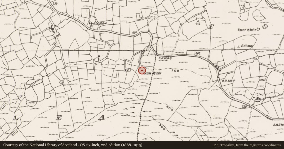 Ordnance Survey six-inch map, 2nd edition (1888–1915) covering the location of Boulder-burial, Maughanaclea, County Cork, with a pin at the register's coordinates