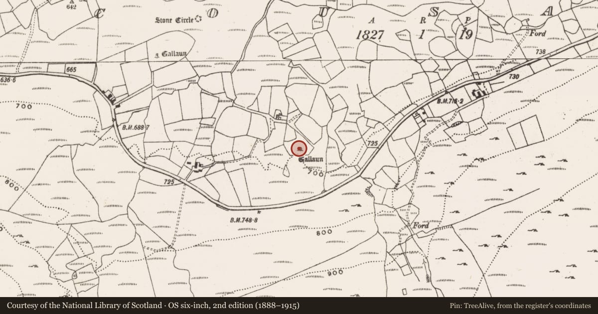 Ordnance Survey six-inch map, 2nd edition (1888–1915) covering the location of Standing stone, Cousane, County Cork, with a pin at the register's coordinates