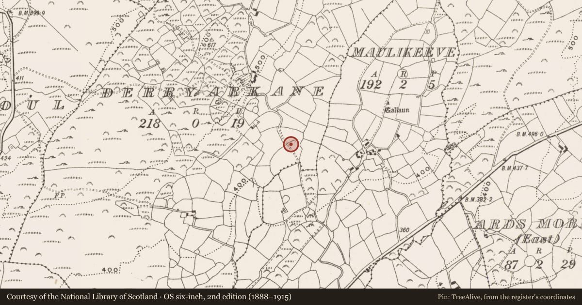 Ordnance Survey six-inch map, 2nd edition (1888–1915) covering the location of Stone circle - five-stone, Derryarkane, County Cork, with a pin at the register's coordinates