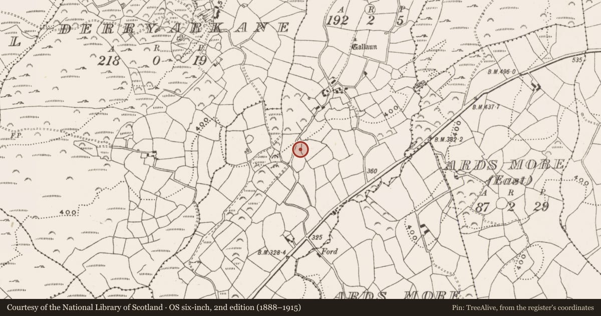 Ordnance Survey six-inch map, 2nd edition (1888–1915) covering the location of Standing stone, Maulikeeve, County Cork, with a pin at the register's coordinates