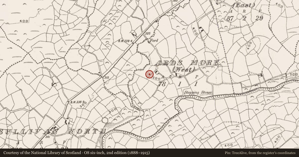 Ordnance Survey six-inch map, 2nd edition (1888–1915) covering the location of Souterrain, Ards More (West), County Cork, with a pin at the register's coordinates