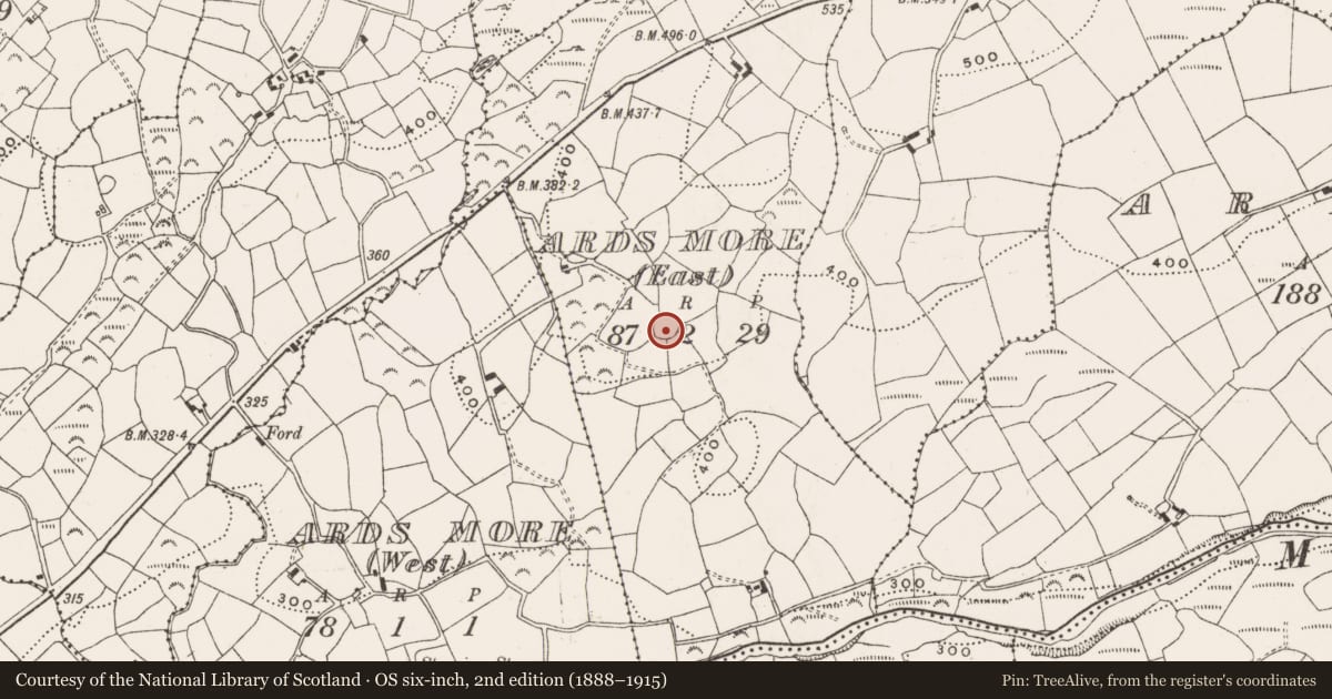 Ordnance Survey six-inch map, 2nd edition (1888–1915) covering the location of Ringfort - rath, Ards More (East), County Cork, with a pin at the register's coordinates