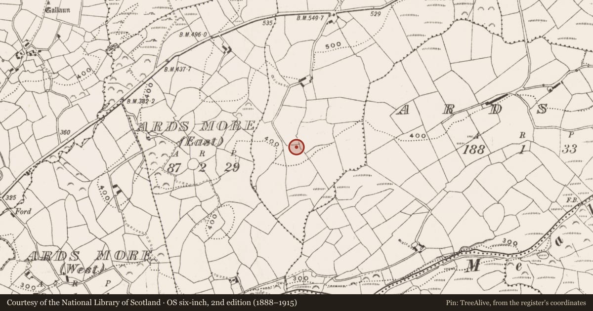Ordnance Survey six-inch map, 2nd edition (1888–1915) covering the location of Enclosure, Laharanshermeen, County Cork, with a pin at the register's coordinates