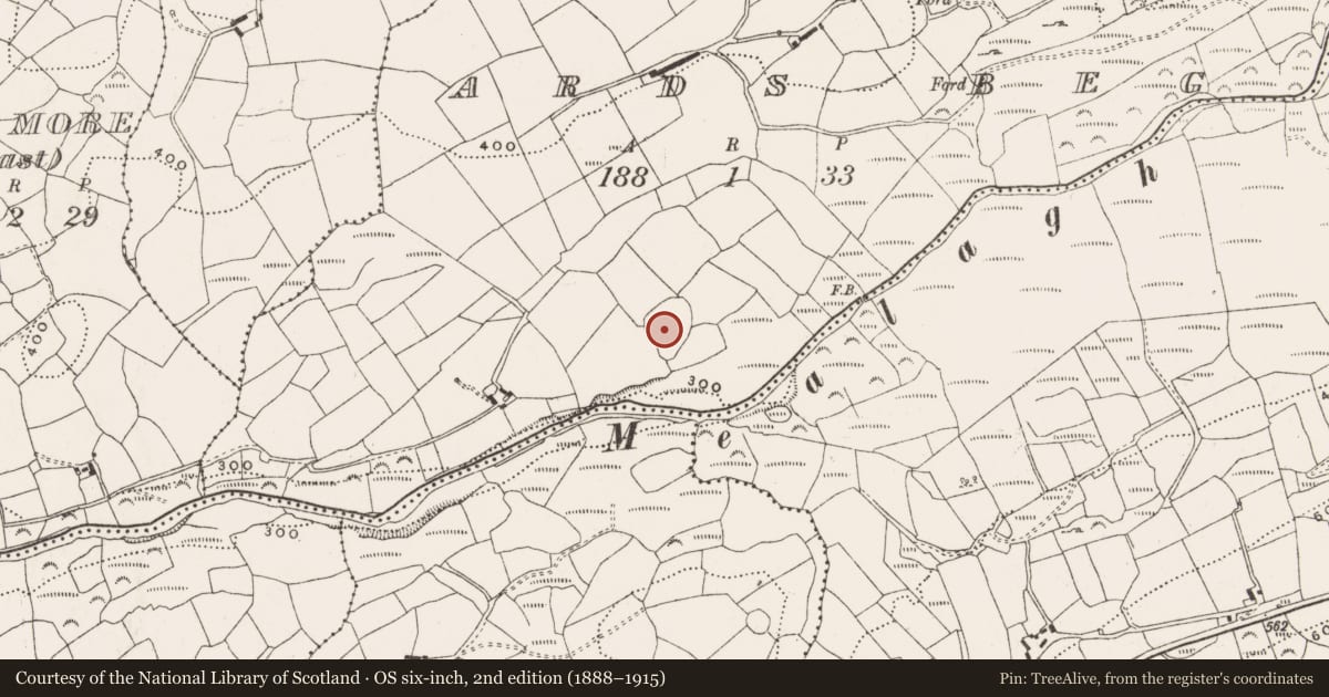 Ordnance Survey six-inch map, 2nd edition (1888–1915) covering the location of Enclosure, Ards Beg, County Cork, with a pin at the register's coordinates