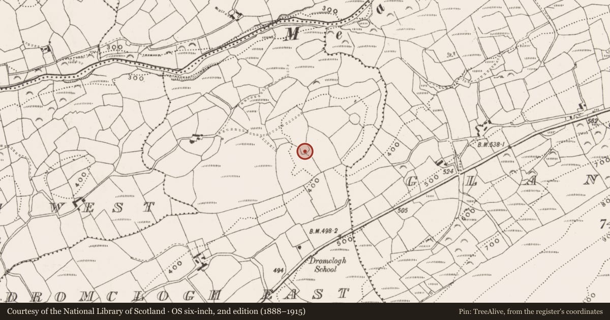 Ordnance Survey six-inch map, 2nd edition (1888–1915) covering the location of Ringfort - rath, Dromclogh East, County Cork, with a pin at the register's coordinates
