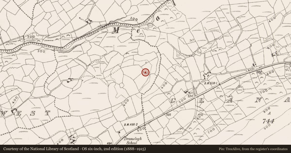 Ordnance Survey six-inch map, 2nd edition (1888–1915) covering the location of Ringfort - rath, Dromclogh East, County Cork, with a pin at the register's coordinates