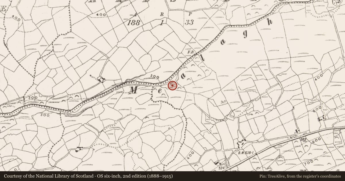 Ordnance Survey six-inch map, 2nd edition (1888–1915) covering the location of Ringfort - rath, Glanareagh, County Cork, with a pin at the register's coordinates