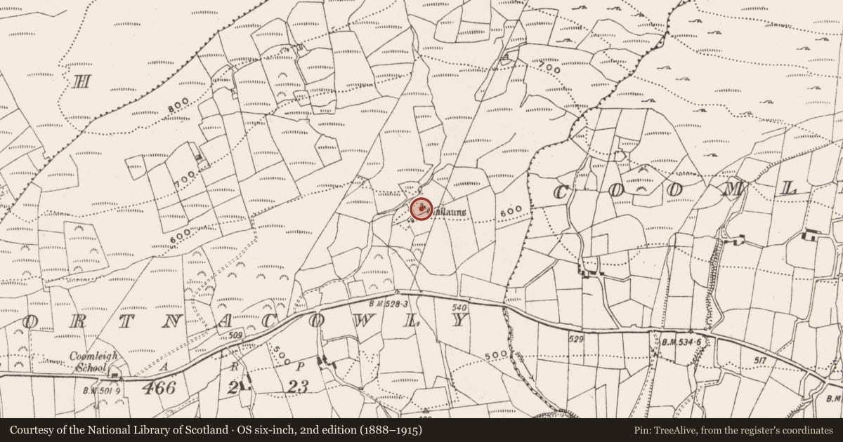 Ordnance Survey six-inch map, 2nd edition (1888–1915) covering the location of Four poster, Gortnacowly, County Cork, with a pin at the register's coordinates
