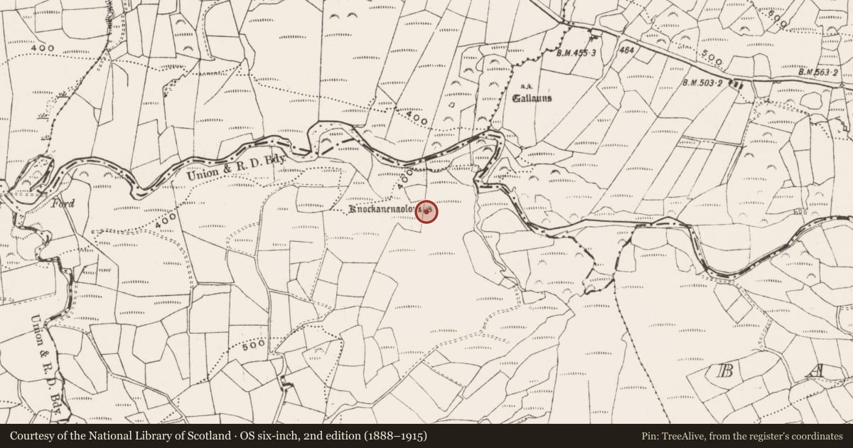 Ordnance Survey six-inch map, 2nd edition (1888–1915) covering the location of Megalithic tomb - wedge tomb, Barnagowlane West, County Cork, with a pin at the register's coordinates