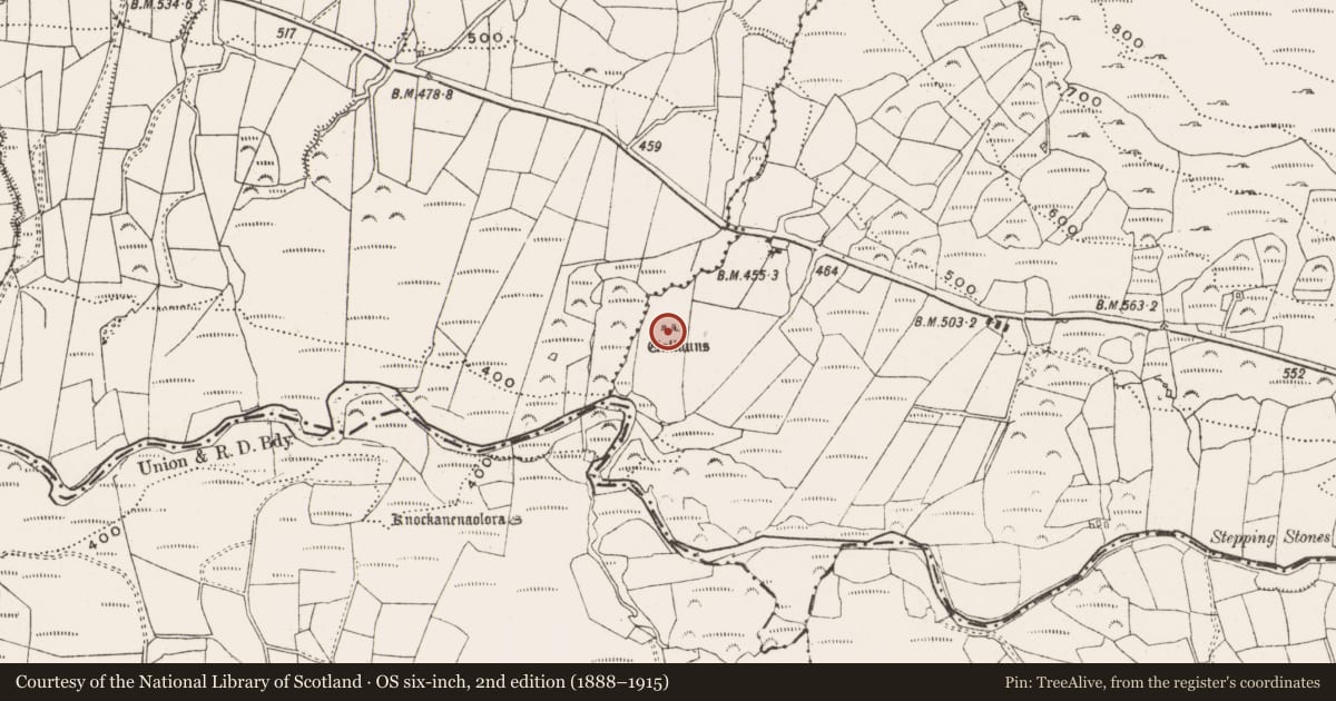 Ordnance Survey six-inch map, 2nd edition (1888–1915) covering the location of Standing stone - pair, Coomleagh East, County Cork, with a pin at the register's coordinates