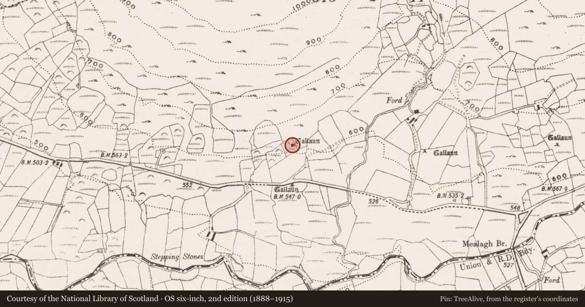 Ordnance Survey six-inch map, 2nd edition (1888–1915) covering the location of Standing stone, Coomleagh East, County Cork, with a pin at the register's coordinates