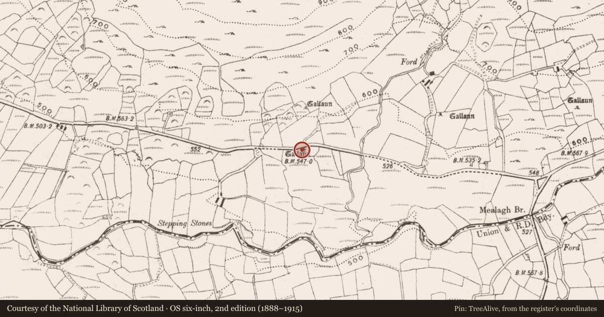 Ordnance Survey six-inch map, 2nd edition (1888–1915) covering the location of Standing stone, Coomleagh East, County Cork, with a pin at the register's coordinates