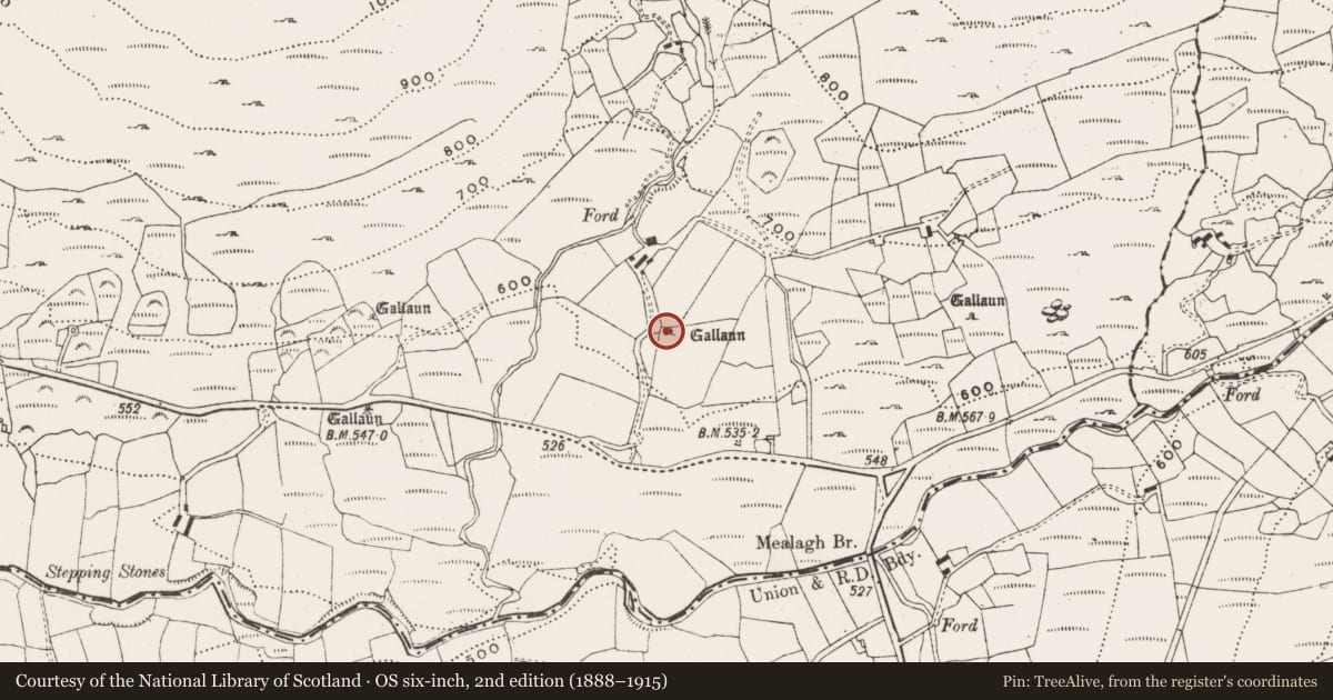 Ordnance Survey six-inch map, 2nd edition (1888–1915) covering the location of Standing stone, Coomleagh East, County Cork, with a pin at the register's coordinates