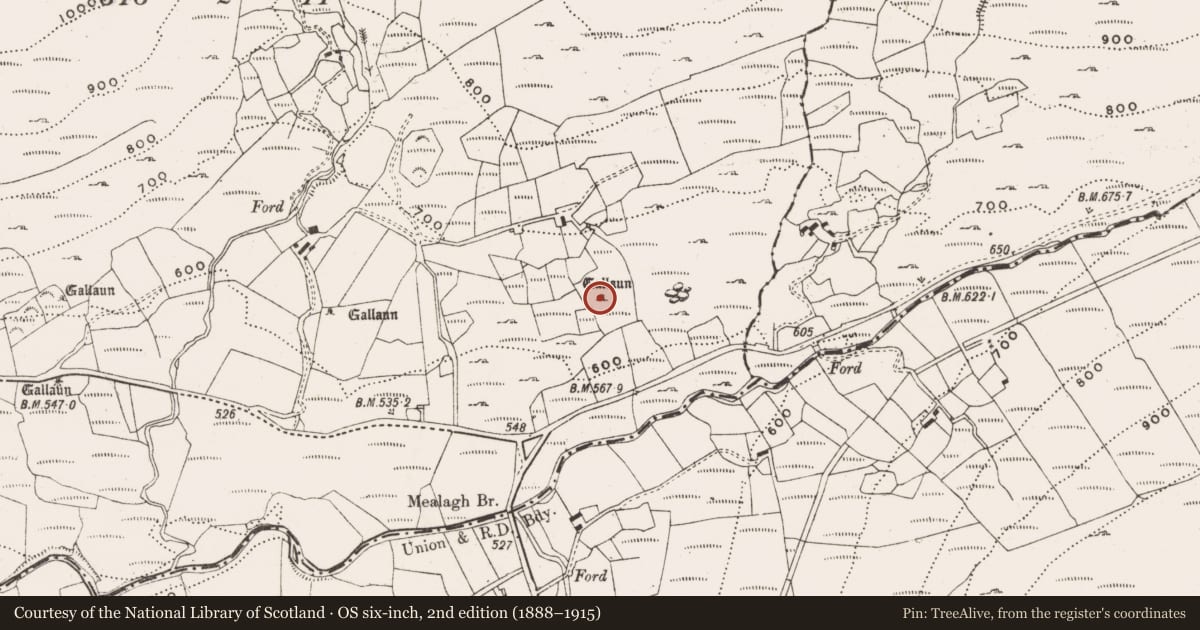 Ordnance Survey six-inch map, 2nd edition (1888–1915) covering the location of Stone row, Coomleagh East, County Cork, with a pin at the register's coordinates
