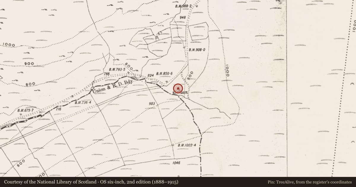 Ordnance Survey six-inch map, 2nd edition (1888–1915) covering the location of Standing stone, Goulacullin, County Cork, with a pin at the register's coordinates