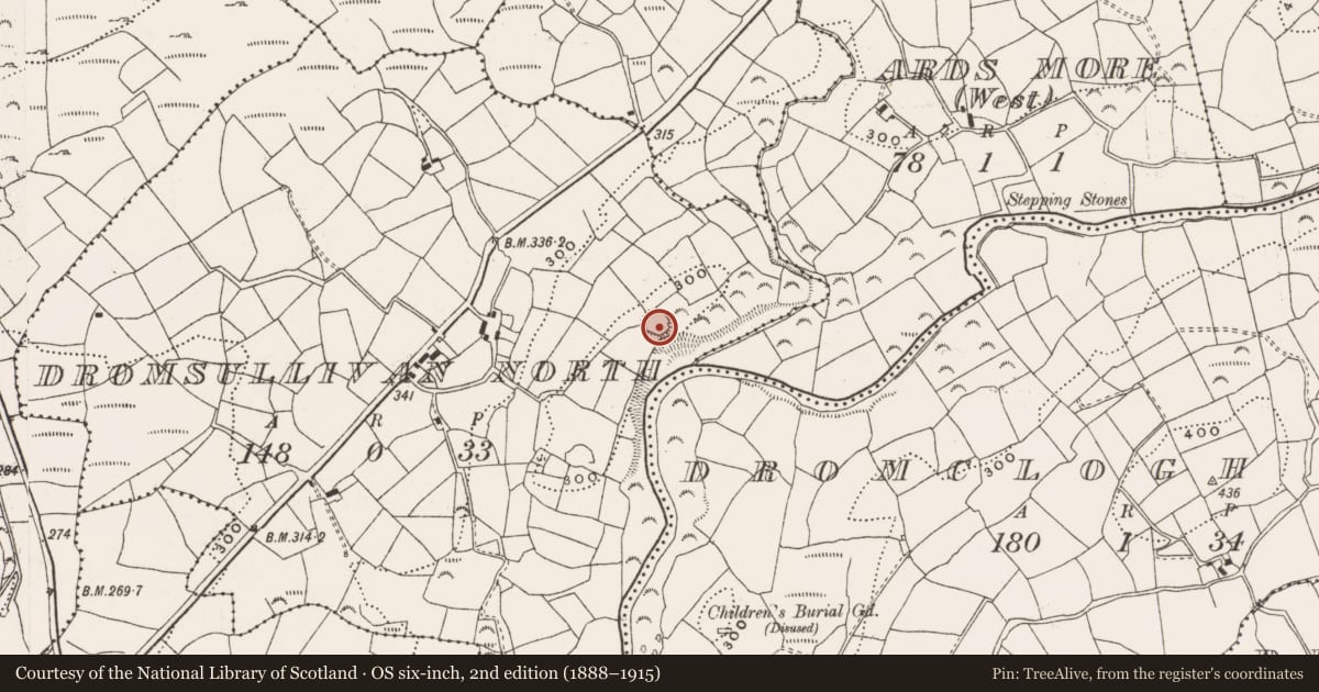 Ordnance Survey six-inch map, 2nd edition (1888–1915) covering the location of Ringfort - rath, Dromsullivan North, County Cork, with a pin at the register's coordinates